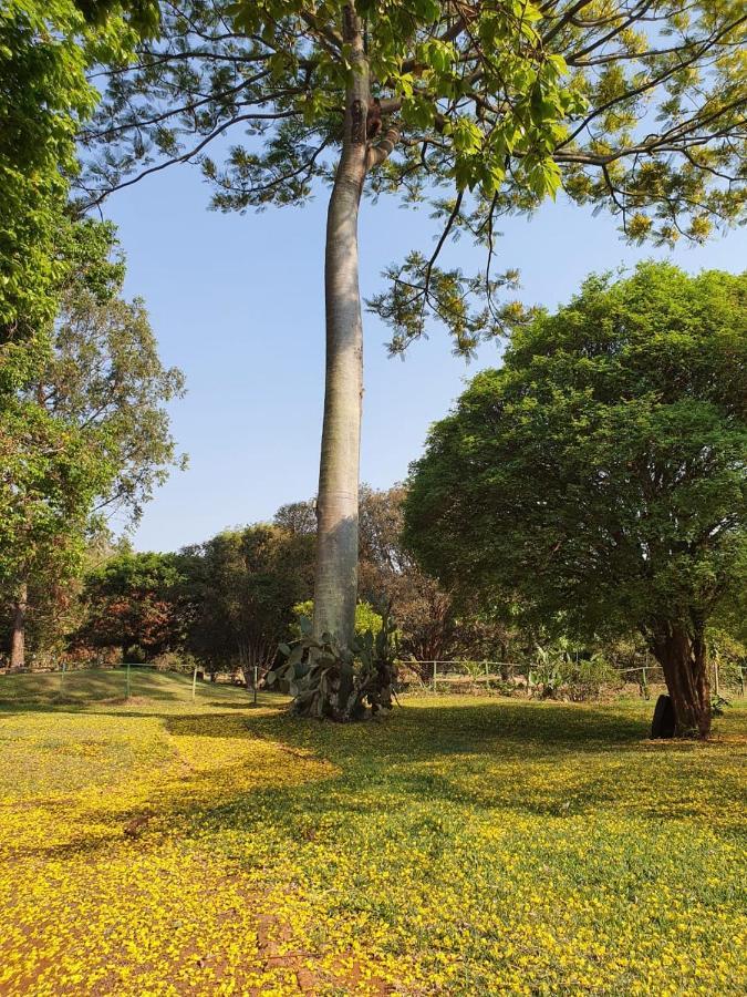 アララスFazenda Santa Clementinaアパートメント エクステリア 写真